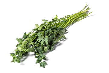 Green parsley on a white background