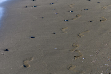 Footprints on Sandy Beach in Cyprus