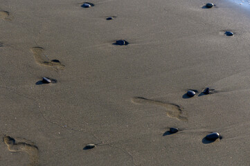 Human Footprints in Sand on Cyprus Beach