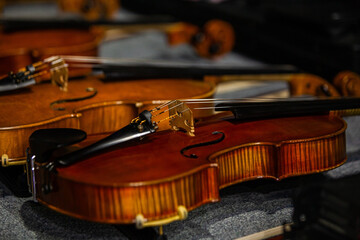  Lying violins in dark tones