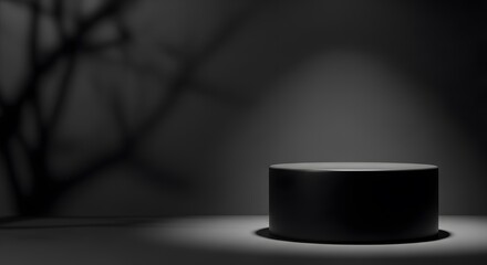 Elegant black cylindrical platform, subtly lit, set against a dark background with a blurred tree shadow. Minimalist and moody aesthetic.
