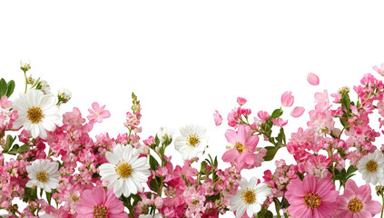 Fototapeta premium A horizontal arrangement of various pink and white flowers
