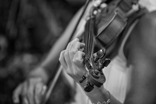 Hands of a woman playing the violin in black and white