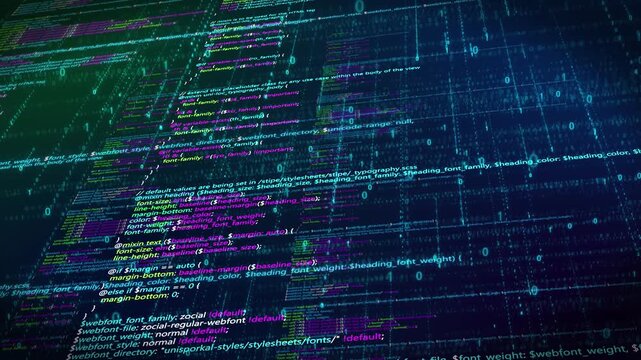 Network program code and data flow.