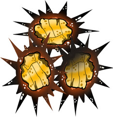 갈색 성게알 일러스트 그래픽요소