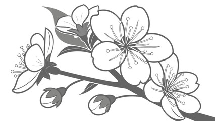 Cherry blossom branch vector illustration for spring designs and floral art projects and backgrounds