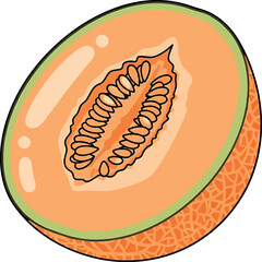 Vector vector art of a black and white line drawing of a ripe ear of corn with husks, transparent background