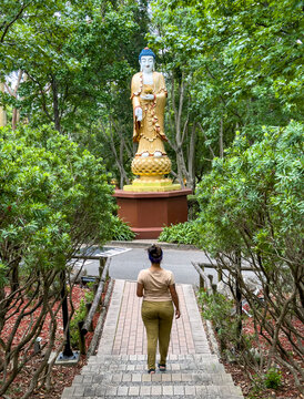 Serene walk to majestic Buddha at Fo Guang Nan Tien Temple