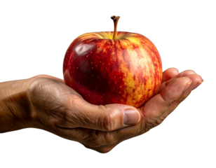 apple in hand