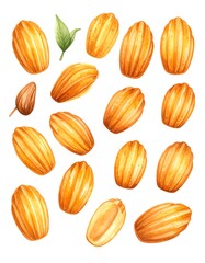 Watercolor macarons illustration