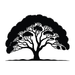 Silhouette of a majestic ancient tree with a broad spreading canopy © FAISAL