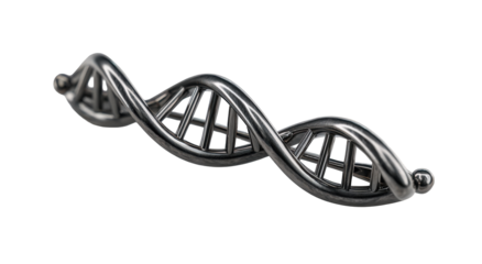 3D model of a DNA double helix