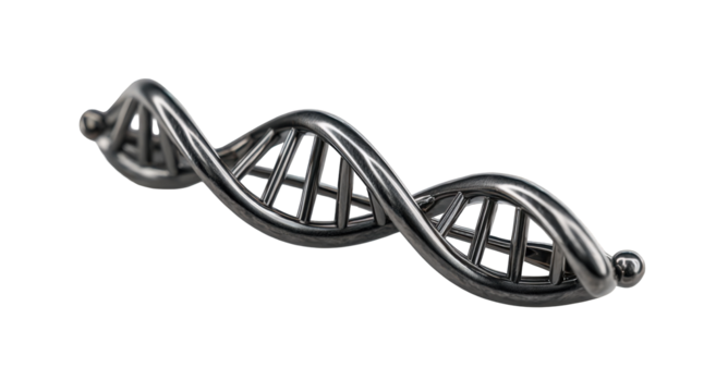 3D model of a DNA double helix