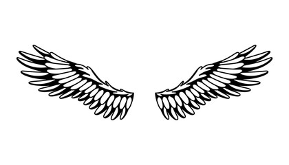 Wings sketch. Stylized birds wings. Hand drawn contoured stiker wing in open position. Vector design elements in coloring style