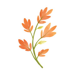 a watercolor autumn branch isolated on a transparent background