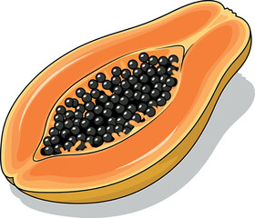 Vector vector art of a slice of pink guava with green rind isolated on a transparent background