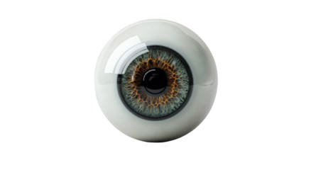 Close-up of a realistic eye