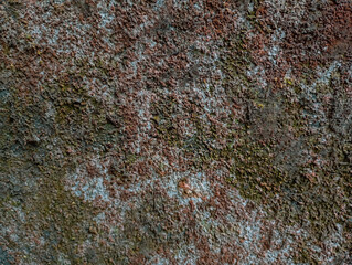 Dark grungy mossy wall texture