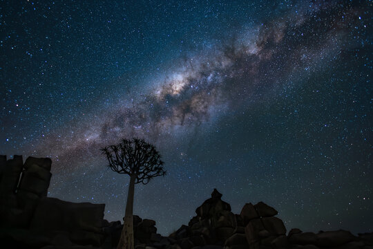 Beautiful Milky Way over Quiver trees forest at the Giants Playground, Namibia