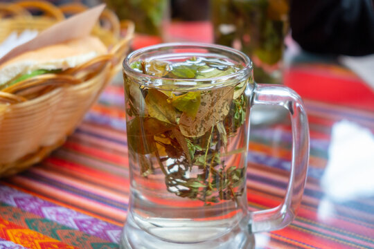 Coca and Muna Leaf Infusion in Peru