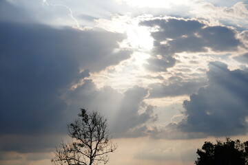 Sunbeams Breaking Through Storm Clouds Over Silhouetted Trees