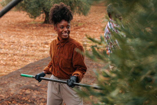 Smiling farmer holding rake harvesting olives in olive grove - Powered by Adobe
