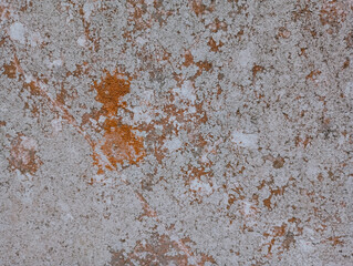 Abstract moldy wall texture surface
