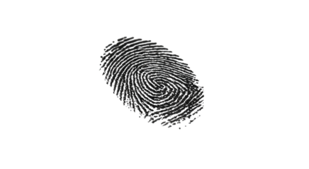 A digitized fingerprint graphic