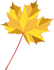 Gold autumn single maple leaf isolated on white background. Flat style vector illustration. 