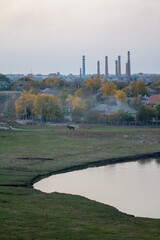 Obraz premium A horse grazes in a field by a river, with an industrial skyline of smoking chimneys in the distance. This image is a great visual for environmental and social commentaries