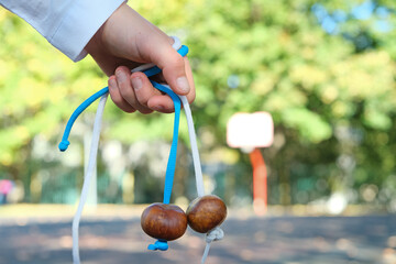 Child's hand holds pair of chestnuts on strings. Conkers game. Conkers - traditional children's game in Great Britain and Ireland played using the seeds of horse chestnut trees