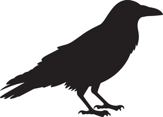 Halloween crow silhouette art illustration Shapes Collection Isolated on White Background