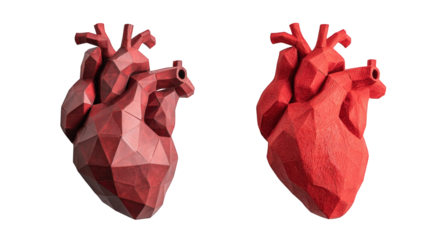 Two polygonal representations of human hearts