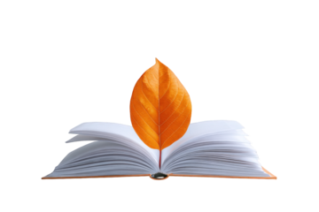 Open book with autumn leaf (12)