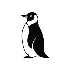 Fototapeta premium Vector illustration of black and white penguin illustration