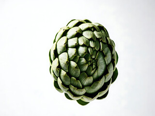 Obraz premium Floating detailed artichoke with geometric pattern isolated white