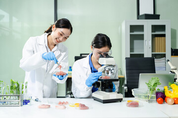 Fototapeta premium wo Asian women scientists in lab coats testing raw meat and recording results. Food safety, microbiology, protein inspection, and lab teamwork