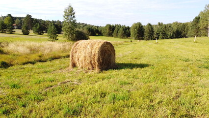 Hay Bale on a Green Meadow – Countryside Farming Landscape
