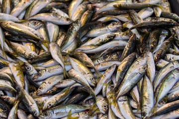 A pile of freshly caught sardines or anchovies in a food market. The shiny silver and white texture is an excellent reference for food-related visuals, product photography, or organic texture mapping.