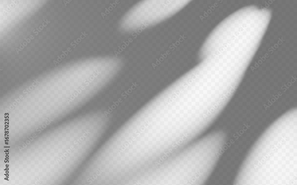 Wall mural abstract shadow overlay dappled light on a transparent background.