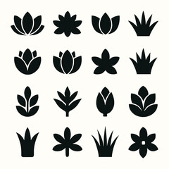 Obraz premium Collection of Various Floral and Plant Silhouettes for Decorative Use