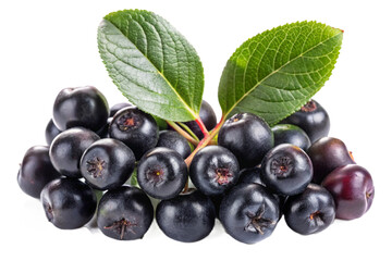 Fototapeta premium Vibrant chokeberry aronia berries with fresh green leaves isolated for natural food photography transparent background