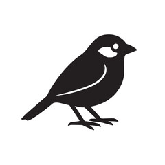 Silhouette of a bird isolated on white background, standing on its feet