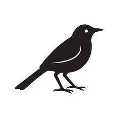 Silhouette of a graceful bird perched, isolated on white background