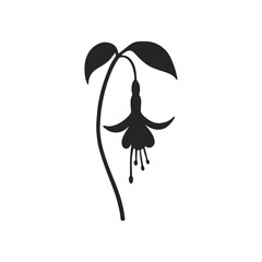 Fototapeta premium Flower Fuchsia Silhouette