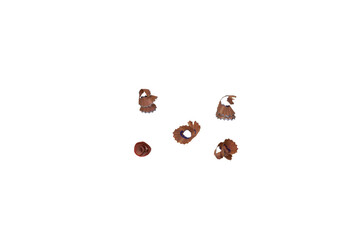 set of pencil shavings isolated, colored pencil shavings on white background