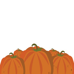 Pumpkins with empty space on white background. Halloween,autumn,thanksgiving. Vector illustration.