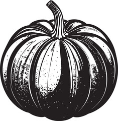 Acorn Squash Silhouette Black Vector Illustration