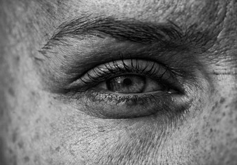 Close up of woman eye and eyebrow. Black and white photography. Sexy look.  A girls with freckles on her face.