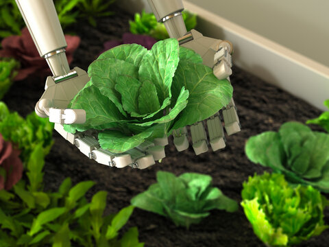 3d robotic hand harvesting lettuce symbolizing sustainable agriculture